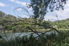 Riserva naturale del lago di Villa