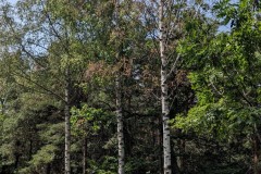 Riserva naturale del lago di Villa